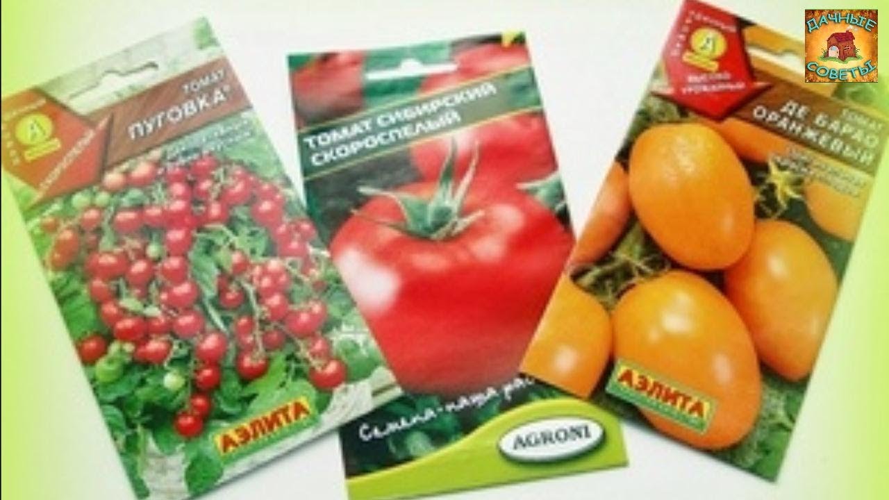 Как ПРАВИЛЬНО выбрать СЕМЕНА томатов для ПОСАДКИ Дачные хитрости и ПОЛЕЗНЫЕ СОВЕТЫ для ОГОРОДА