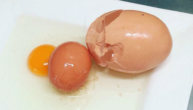 Гигантское яйцо с сюрпризом снесла курица на австралийской ферме