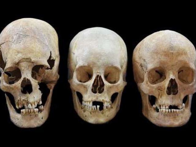Анализ ДНК показал, кем были обладатели таинственных длинных черепов