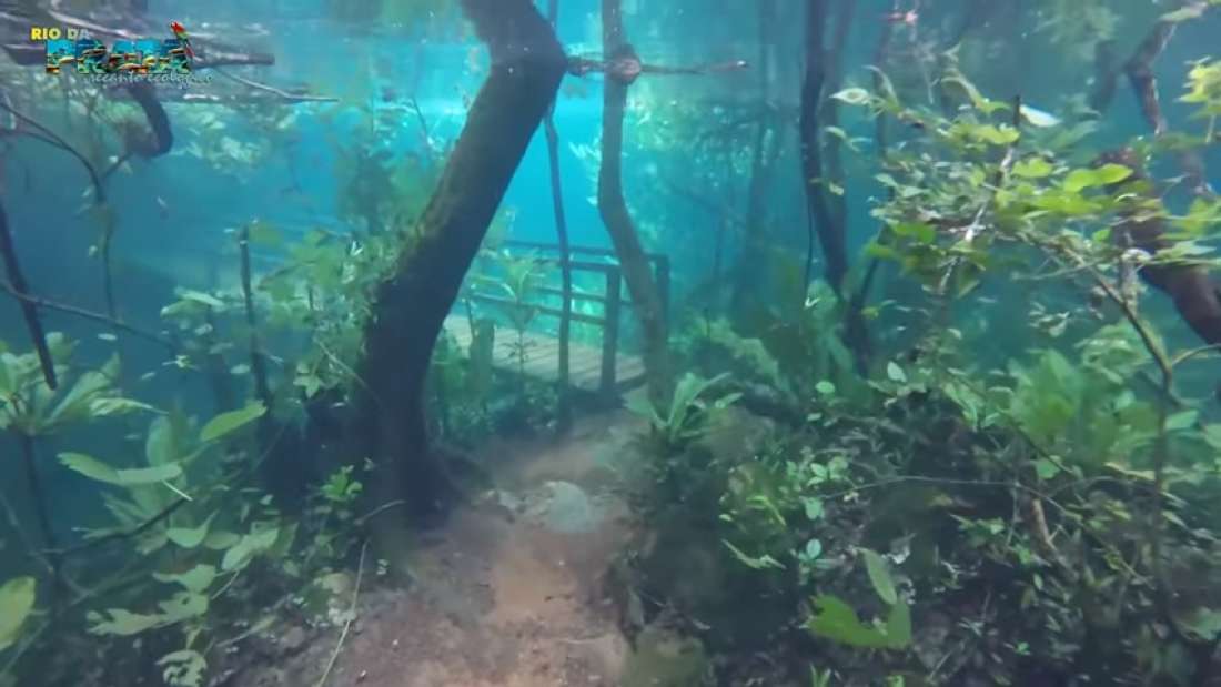 Река с кристально чистой водой вышла из берегов, превратив бразильский тропический лес в подводную страну чудес (видео)