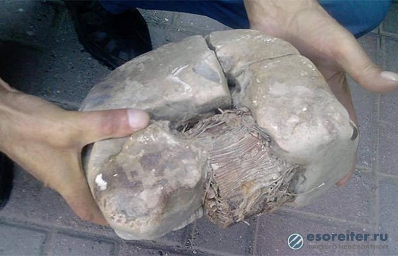 Ученые исследуют артефакт, которому 20 тысяч лет. Найден на территории горного хребта Шар-Планина в Косово