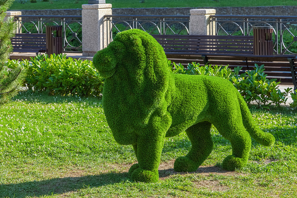 Удивительные зелёные скульптуры сочинского парка