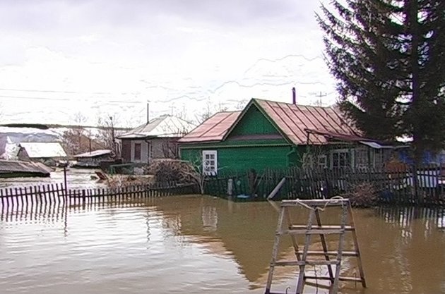 Вода в селах Алтайского края снесла мосты и надворные постройки