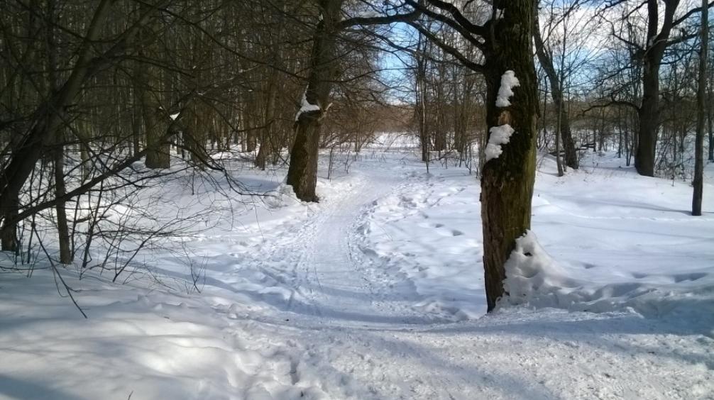 Синоптики: выпавший во вторник в Москве снег станет последним в сезоне