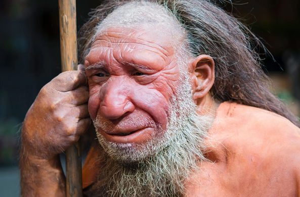 Ученые узнали, почему у неандертальцев были большие носы