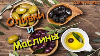 Все что нужно знать об оливках и маслинах Польза и вред оливок Разница маслин и оливок
