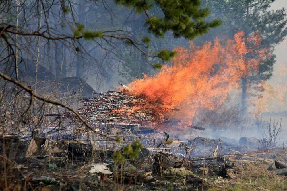 Сильный ветер раздул природные пожары в Беларуси