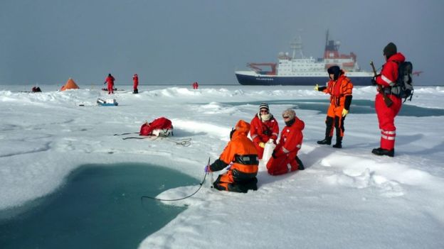 Льды Арктики загрязнены микропластиком