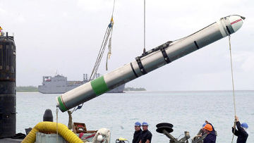 Россия утверждает, что у нее есть американская крылатая ракета «Томагавк»