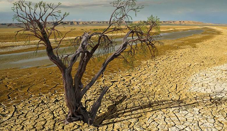 Треть почвы на нашей планете уже не пригодна для сельского хозяйства