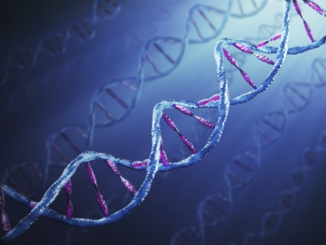 удалось обнаружить древнюю молекулу ДНК