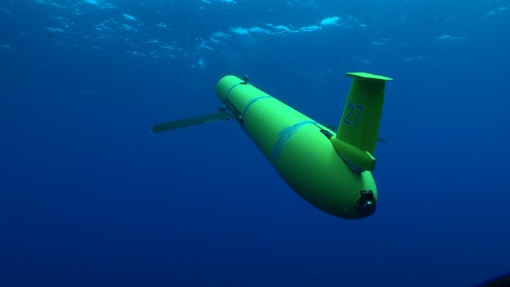 К 2027 году Россия получит подводных роботов