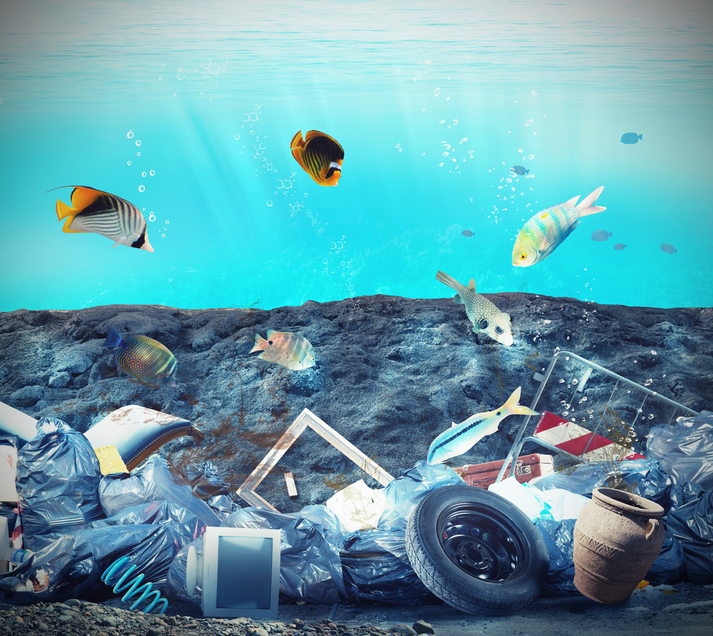 Пластиковый мусор уже заполняет Марианскую впадину