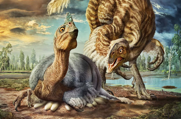 Ученые выяснили, как тяжелые динозавры высиживали яйца