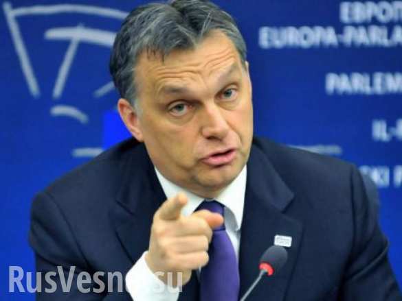 У Киева осталось мало времени: Венгрия выпустила меморандум о Закарпатье