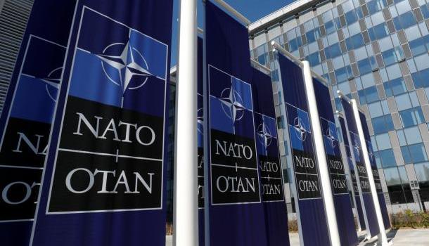 Из-за «вмешательства России» НАТО предлагает переделать всю систему выборов
