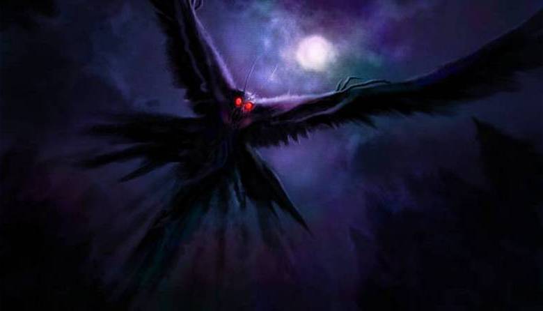 НЛО «сбросил» странных крылатых существ