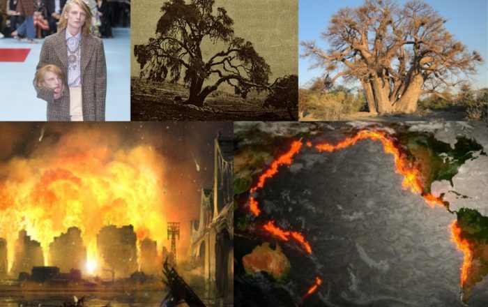 В Африке умерло 5 старейших деревьев из 6-ти. Ну здравствуй, Апокалипсис