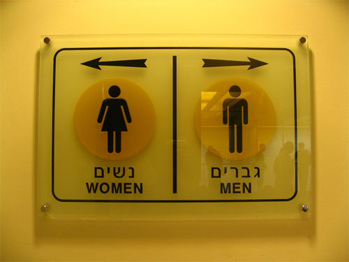 Хроники израильских туалетов