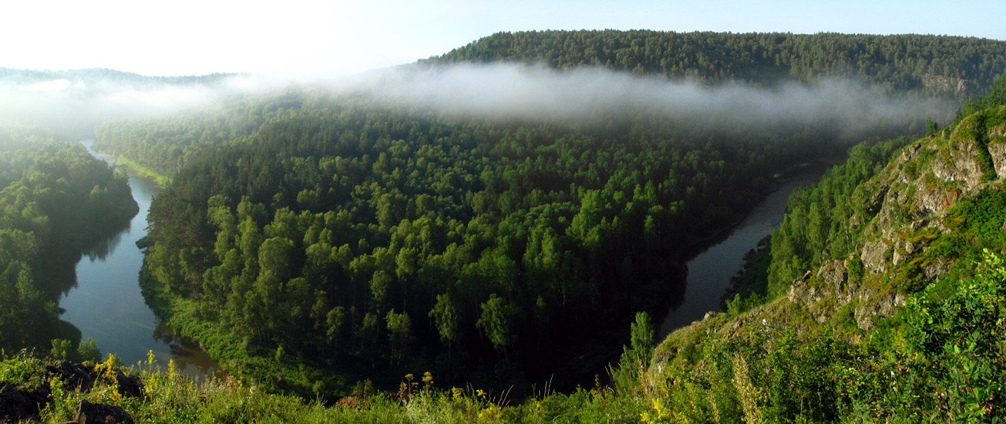 Русская Тайга - фильм о масштабных вырубках лесов в Сибири