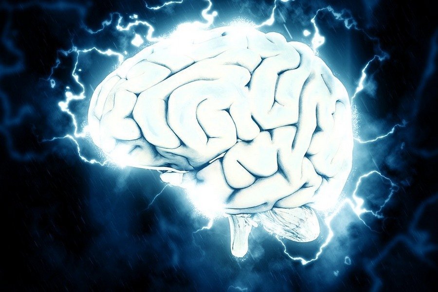 Мозг живет после смерти – ученые