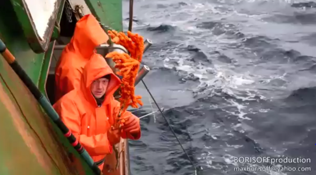 Приморские рыбаки выловили в Охотском море биологический объект из космоса?