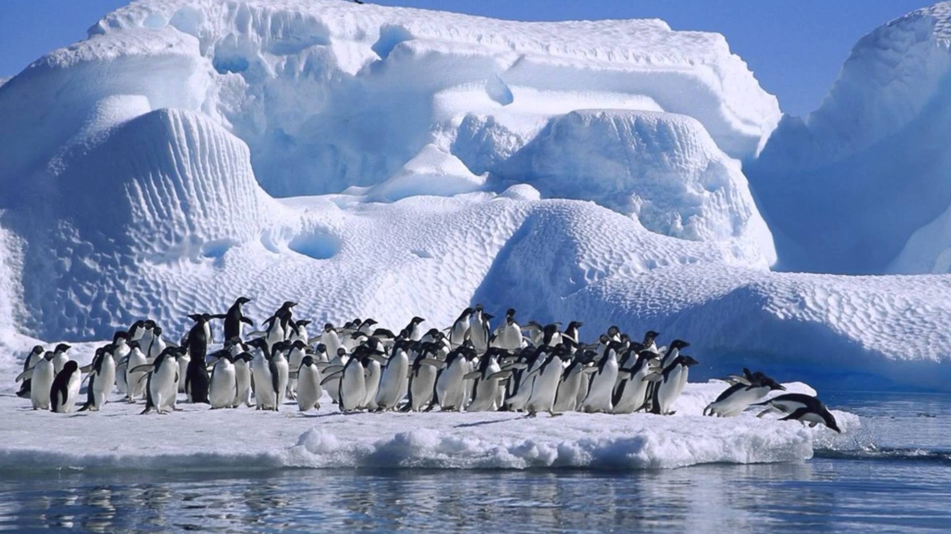 Самые безумные странности, найденные в Антарктиде, в которые не каждый поверит