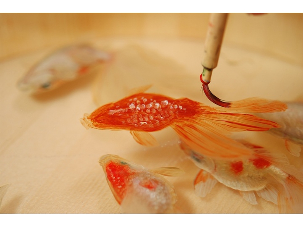 Японский художник рисует «живых» трёхмерных рыбок