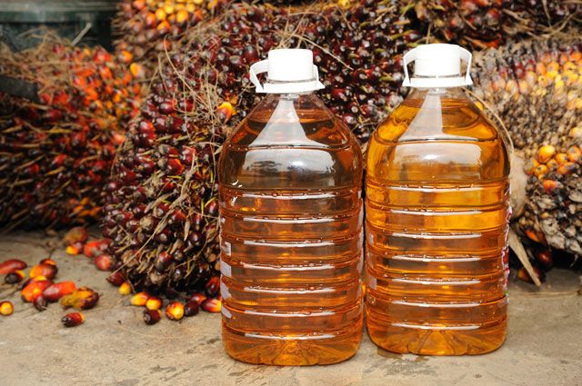 Поел — и машину заправил. Опасно ли употреблять в пищу пальмовое масло?