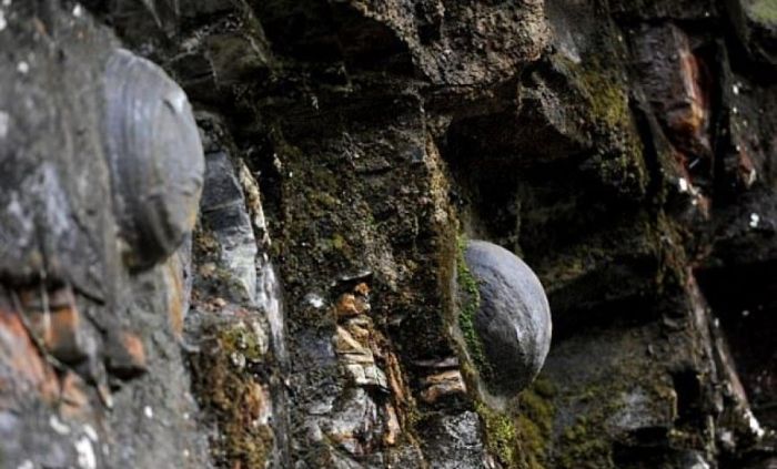 Феномен Ганденг: Таинственная гора в Китае откладывает каменные яйца, которые приносят удачу