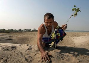 Как Лесной человек из Индии Джейдав Пайенг в одиночку посадил 1400 акров леса