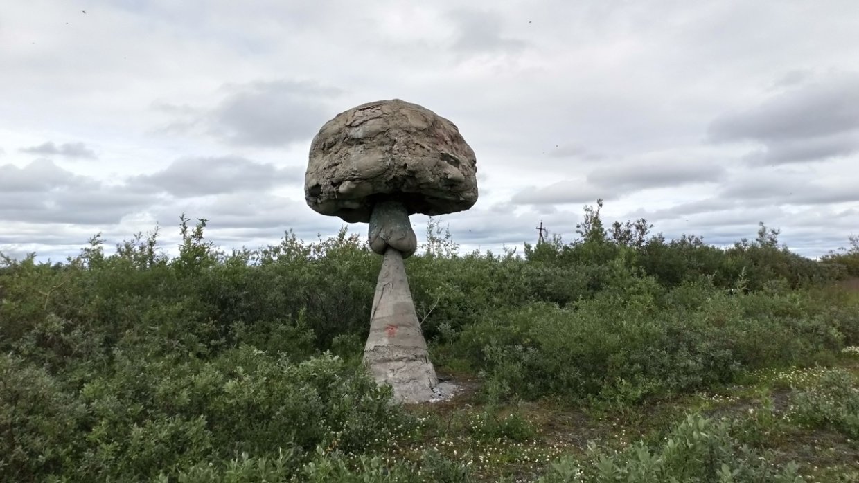 В воркутинской тундре обнаружено загадочное место с мегалитом выше деревьев