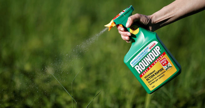 Компания Monsanto выплатит садовнику 290 млн долларов