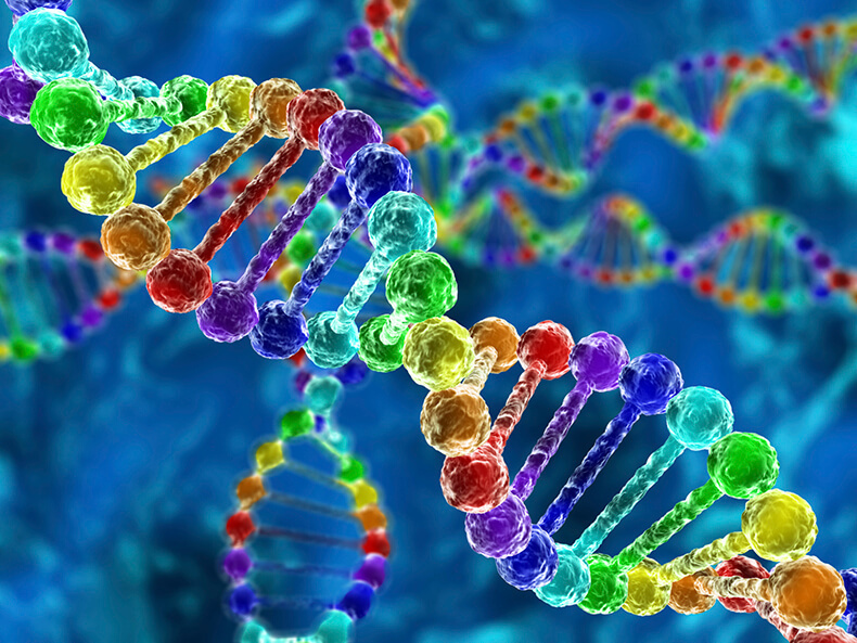 Как гены влияют на характер, интеллект и душевное здоровье