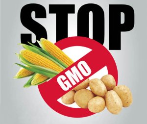 ГМО-помидор убил испанца в ресторане