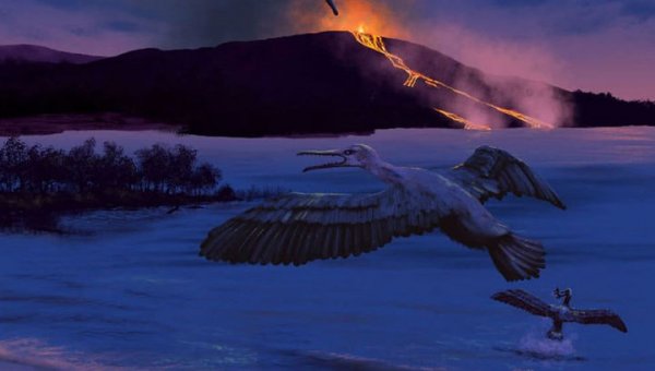 В Арктике 90 млн лет назад жила зубастая птица