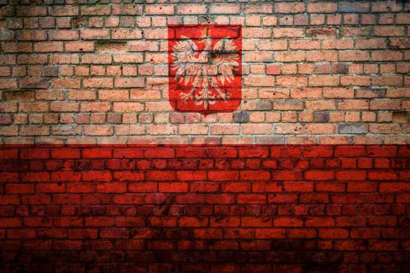В Польше увольняют людей с российским образованием