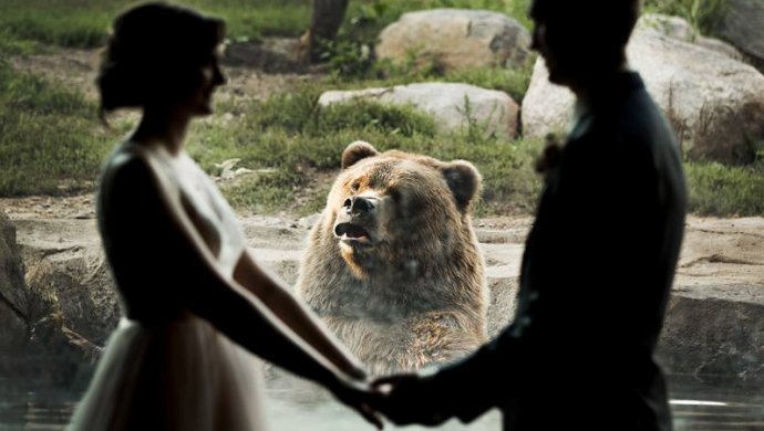 Эмоциональный медведь на свадьбе взорвал соцсети