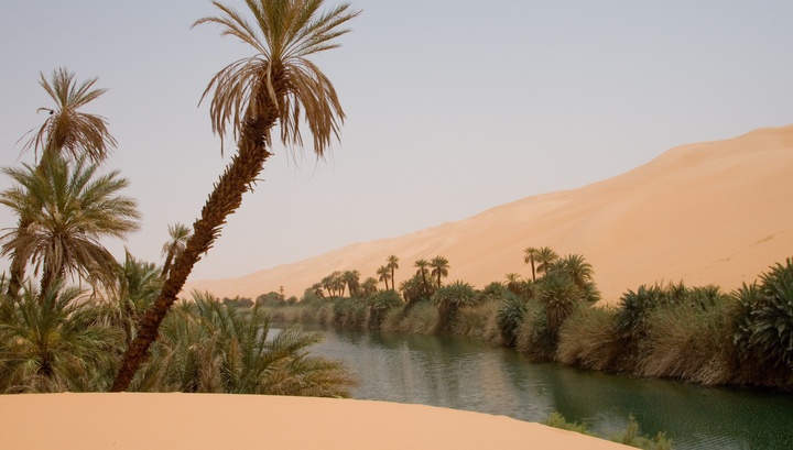 Климатологи придумали, как озеленить Сахару и спастись от глобального потепления