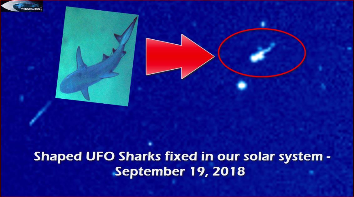 НЛО в форме Акулы зафиксировано в нашей солнечной системе - 19 сентября 2018