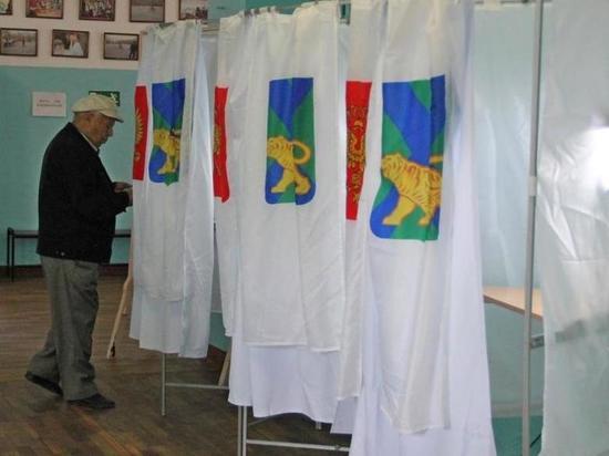 Глава ЦИК разочарована выборами в Хабаровском крае: голосуют против власти