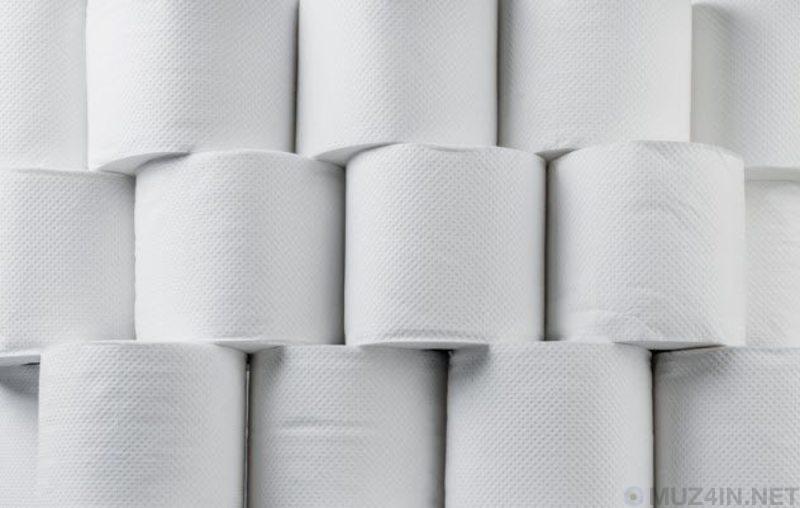 Примечательные факты о туалетной бумаге