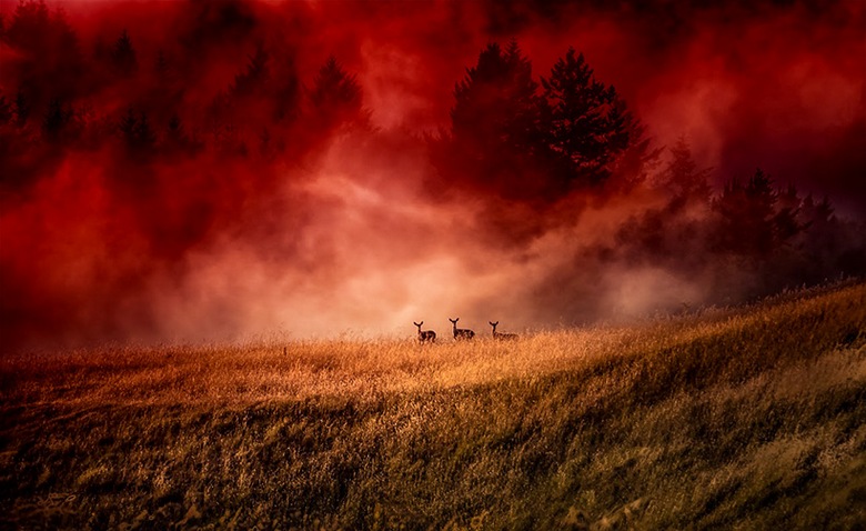 Еще одно интересное природное явление – красный туман