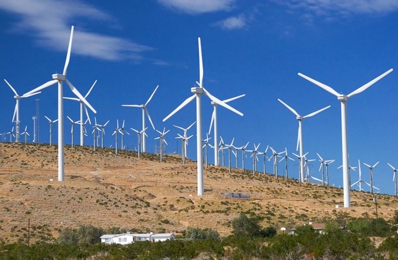 Ветряные электростанции могут нанести вред окружающей среде куда больше, чем сжигаемые углеводороды