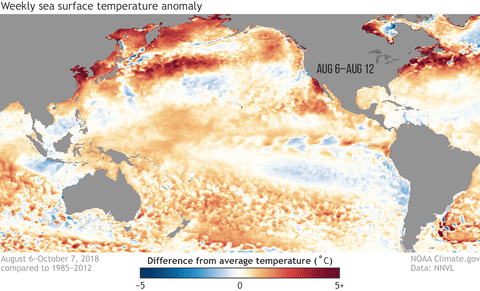 В Тихом океане замечены признаки скорого развития Эль-Ниньо