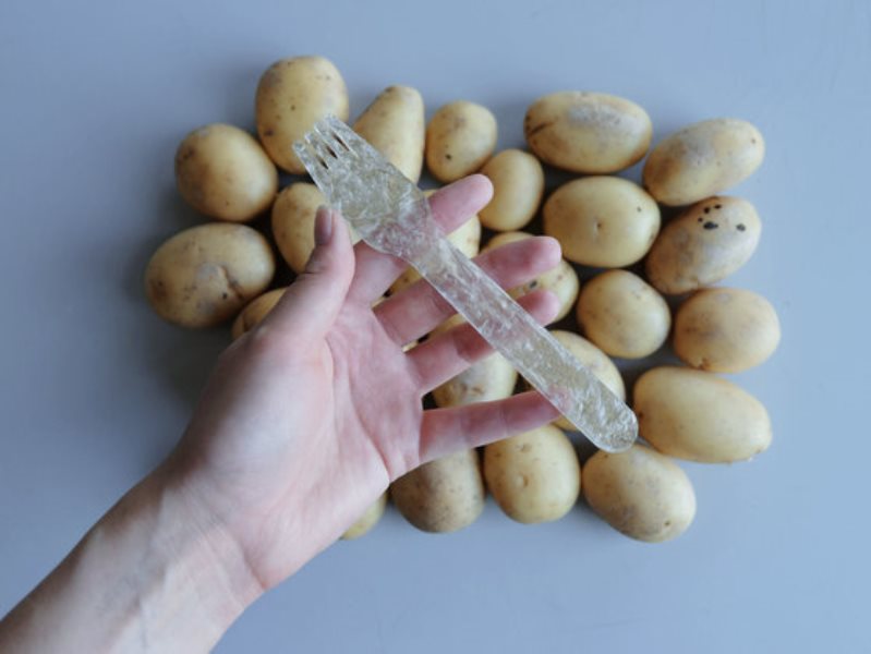 Студент создал биоразлагаемый пластик из картофеля