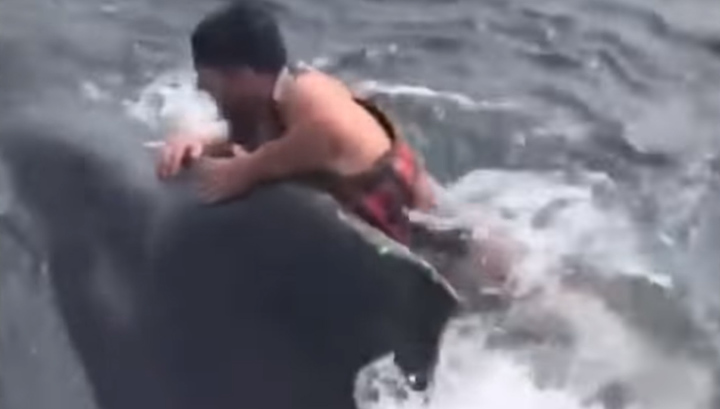 Рыболов бросился на спину запутавшегося кита и освободил его. Видео