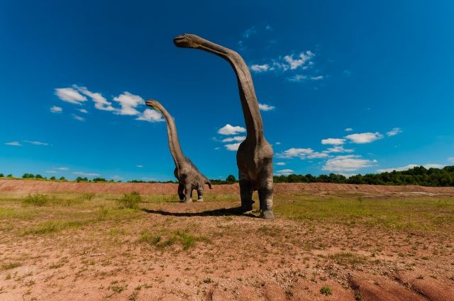 В Аргентине нашли останки неизвестного ранее динозавра