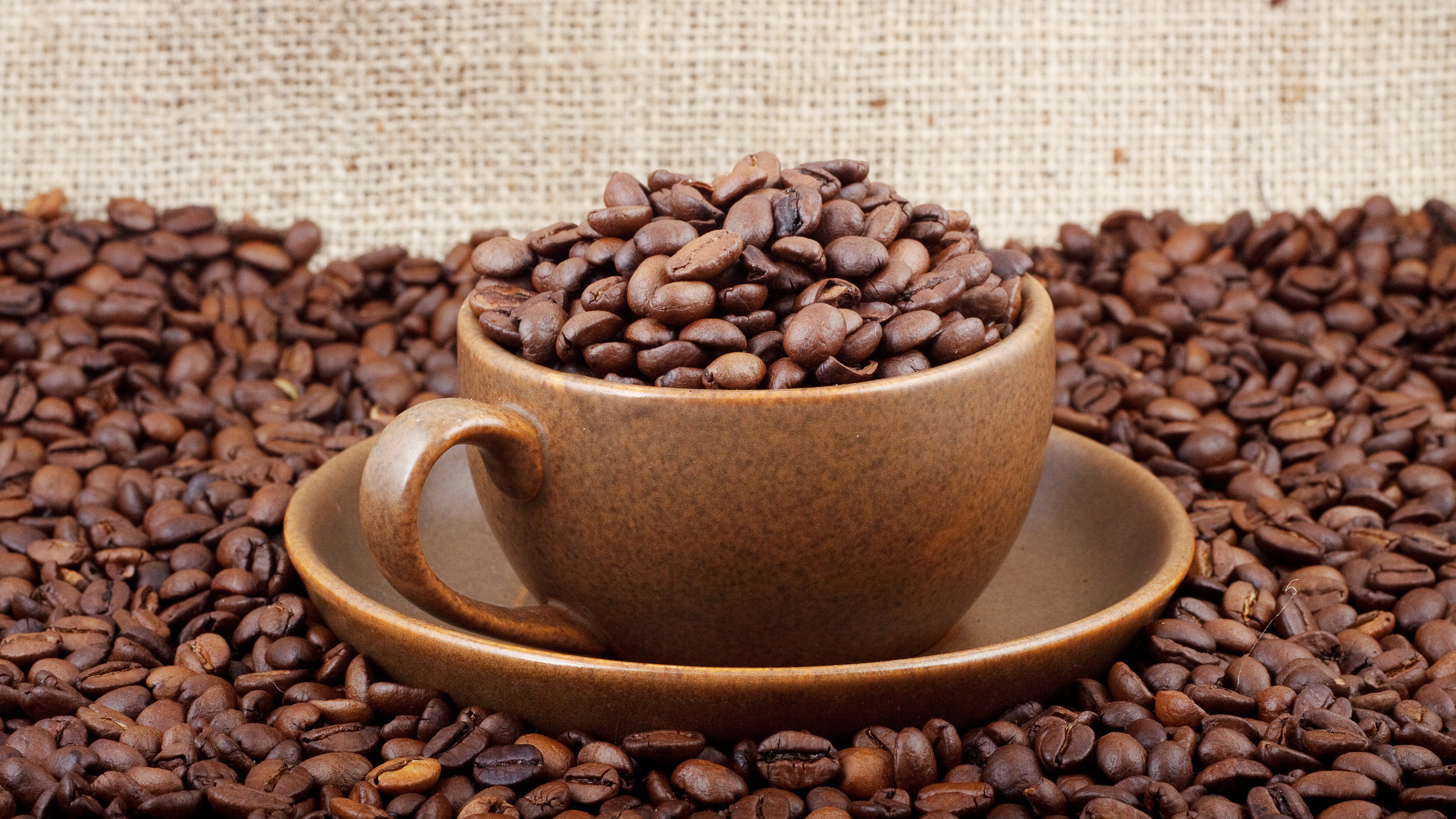 Кофе - кофеин и теобромин
