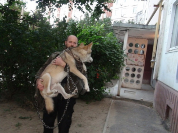 Житель Волгограда завел в квартире волка